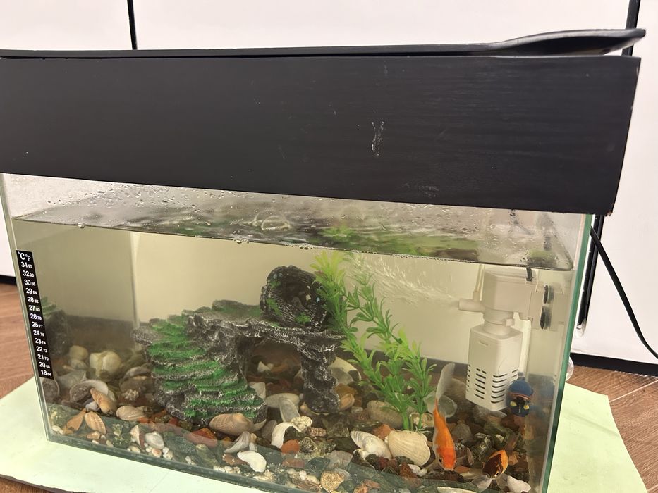 Аквариум все в комплекте