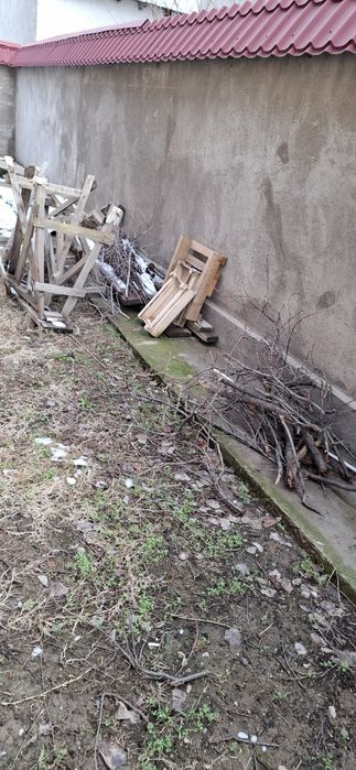 Дрова отын агаш дрова