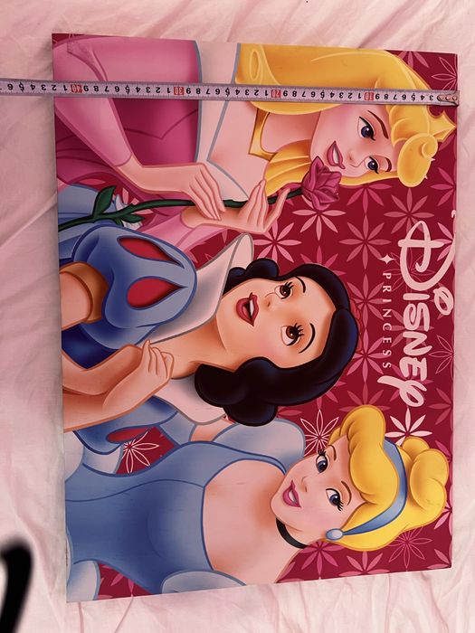 Картина на принцеси