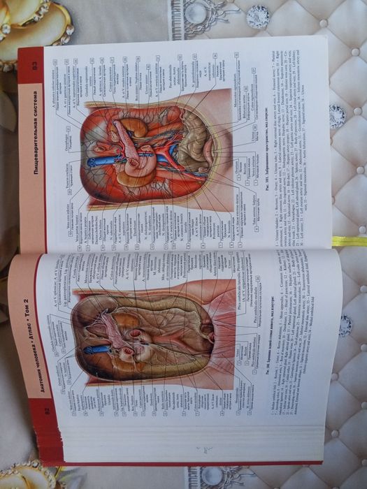 Atlas anatomiya sotiladi