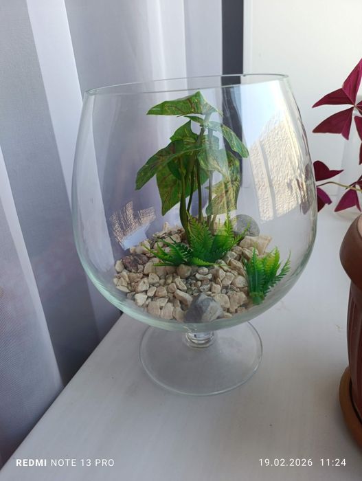 Аквариум для рыбок 3,5 литра