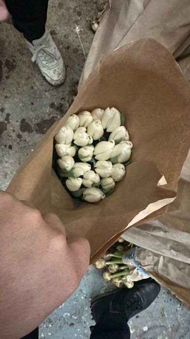 Тюльпаны на 8 марта