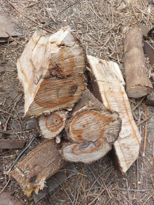 Продам Дрова и Хворост