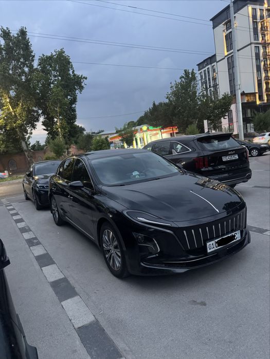 Hongqi eqm5 500tali