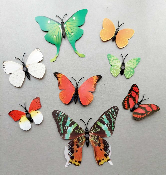 Пеперуди на магнит.