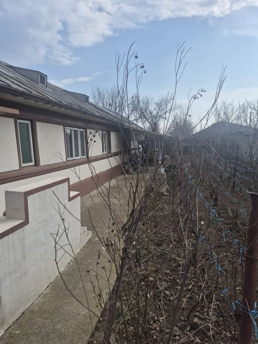 Oferta:Casă de vânzare