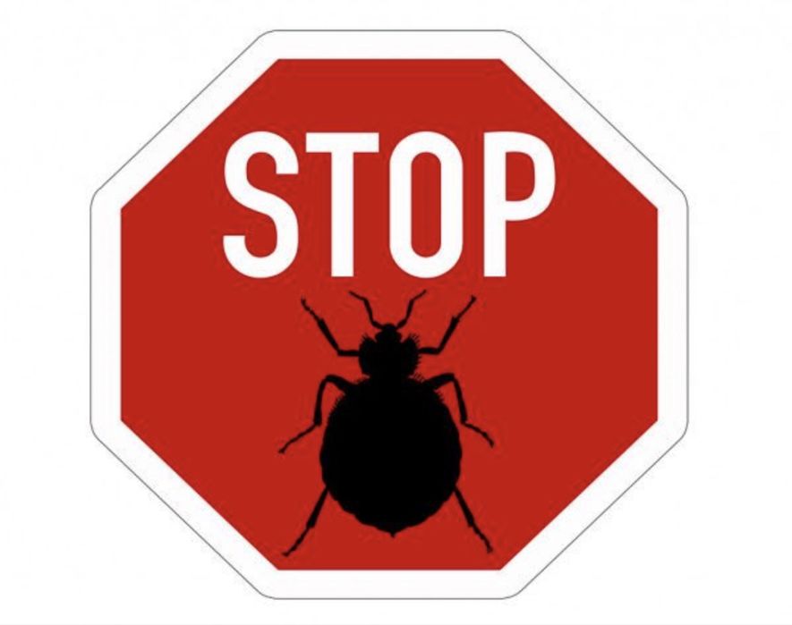 Термит, сары кумырска, кандала улау