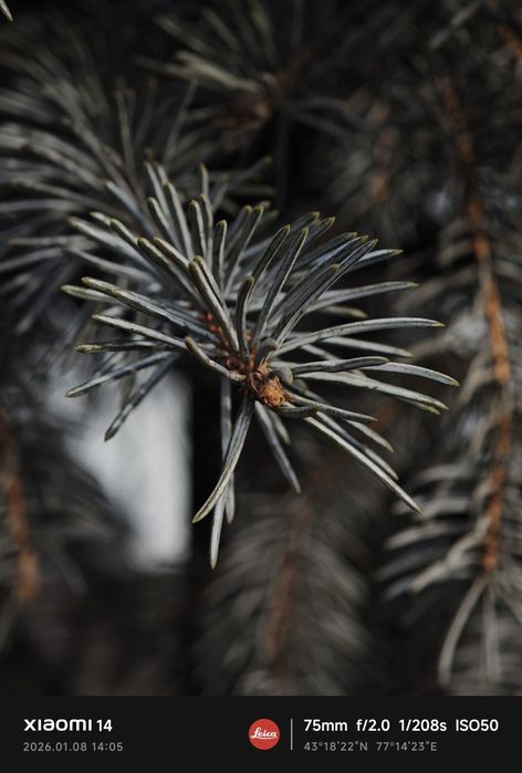 Xiaomi 14  читать внимательно