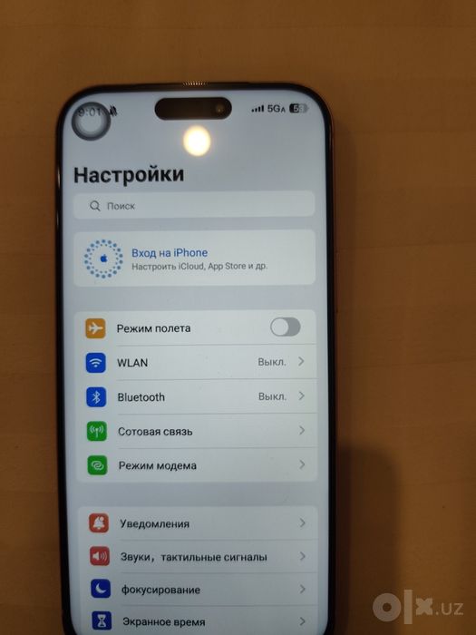 iPhone 17pro max