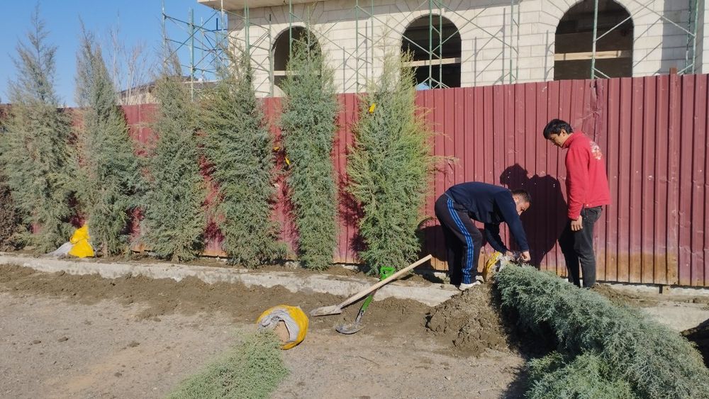 Арча газон гуллар экиш хизмати