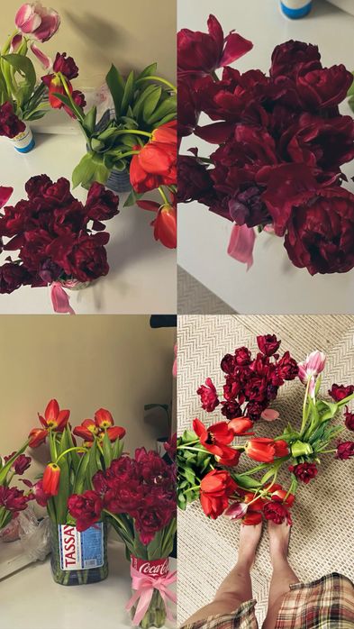 тюльпаны вчерашние