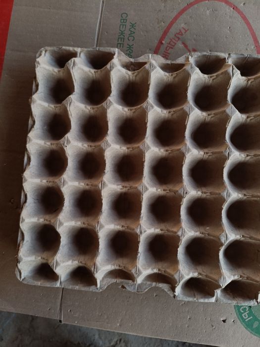 Лотки для Яиц в количестве 2000 шт