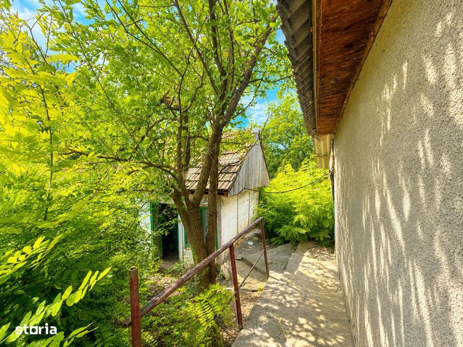 Casa + teren 2000 mp intravilan, ASFALT Malaiesti Iasi