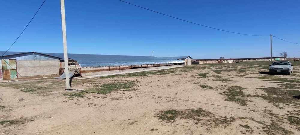 Фазенда с земельнцм участком