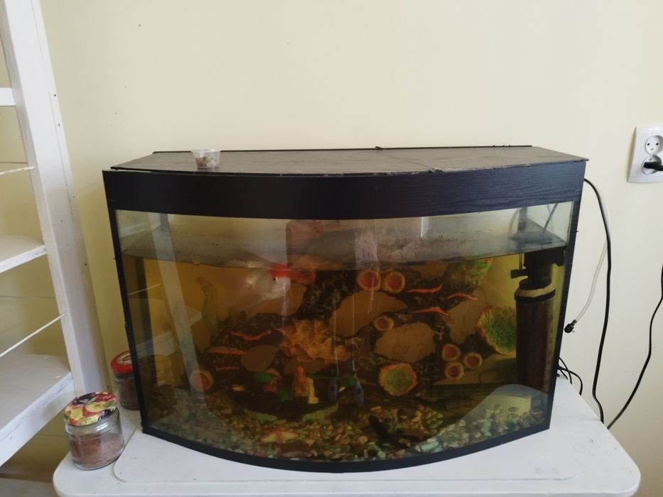 Аквариум 100 литров