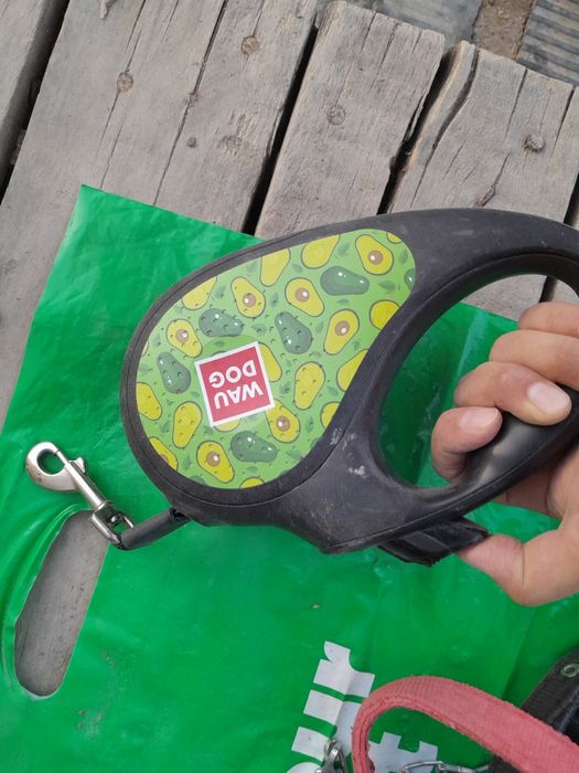 Ошейник разный  продам. Срочно