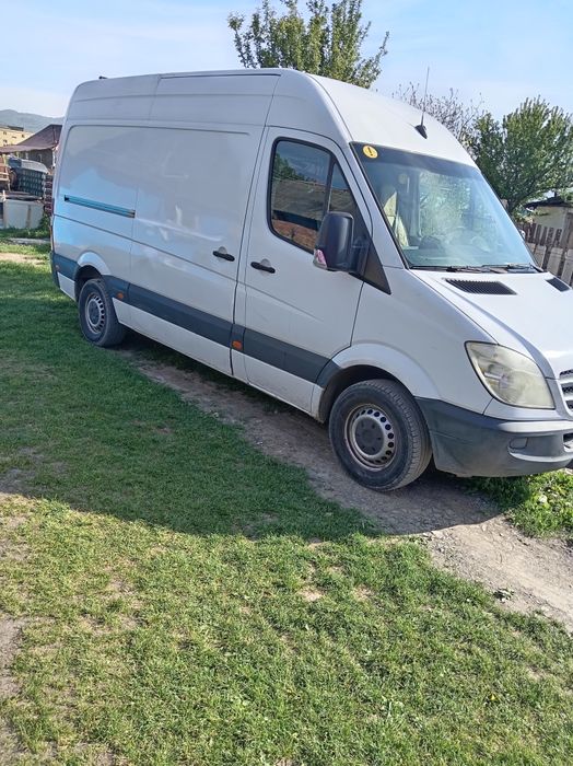 Ofer transport mai multe detalii în privat