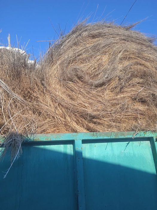 Продам сено житняк в рулонах