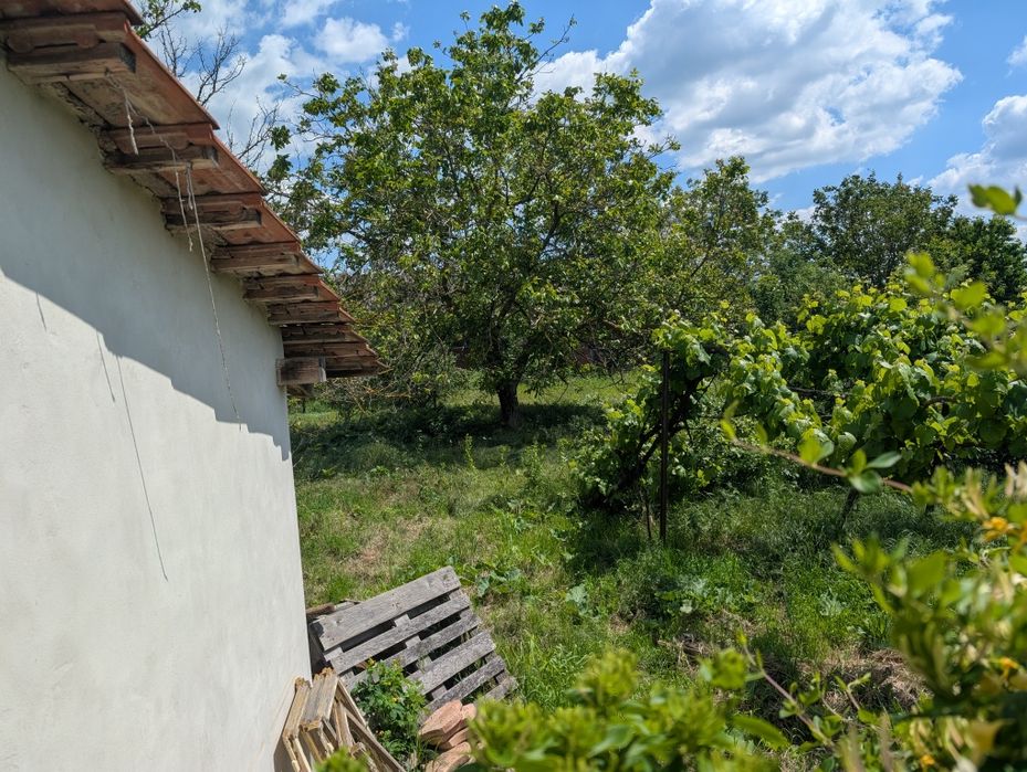 Casa de vânzare Sântana jud. Arad
