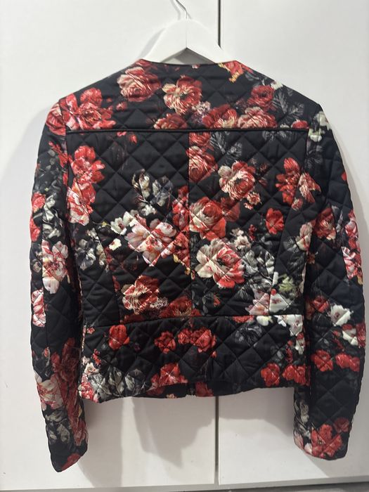 Jacheta matlasata Mango