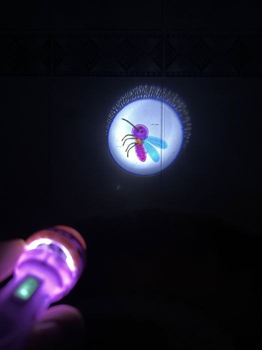 Развивающий фонарик проектор