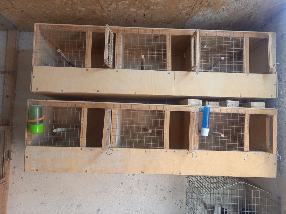 Продам клетки отсадники .