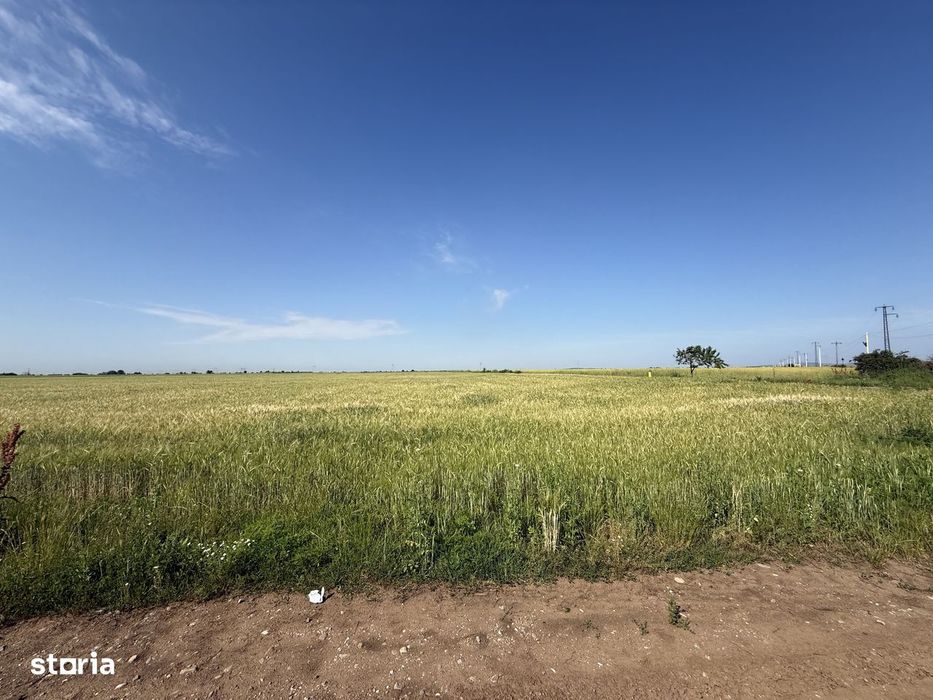 Teren 10 hectare pretabil pt panouri solare-Aricesti Rahtivani