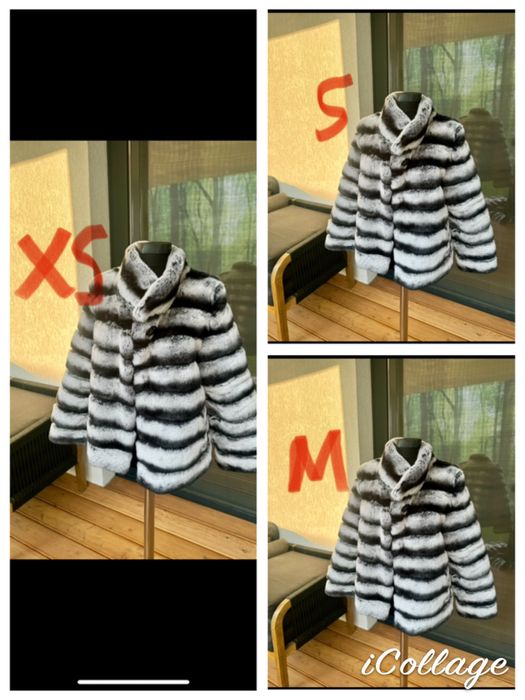 Vand blana din Chinchilla rex la 1200 lei