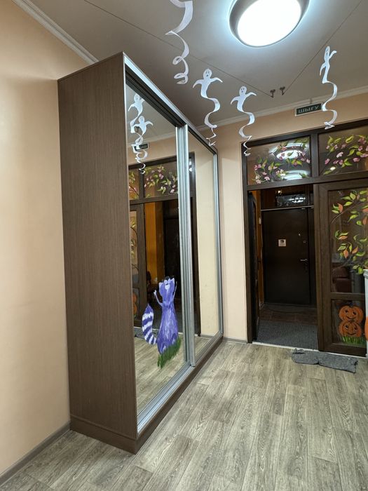 Шкаф-купе с зеркальными дверями