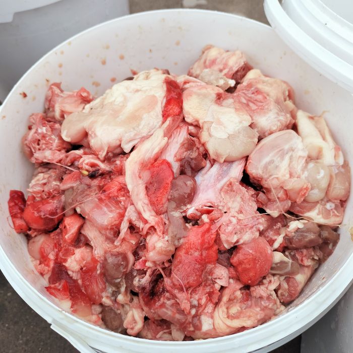 Куринный фарш для собак и кошек