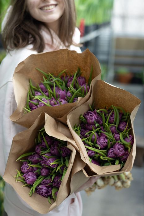 Голландские тюльпаны оптом и в розницу