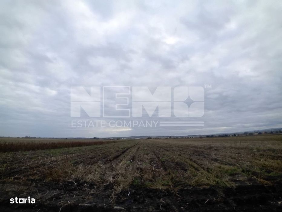 TEREN | Radauti | 6.000 mp | 62.800 EURO