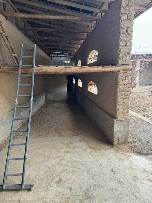 Uy sotiladi (10 sotix)