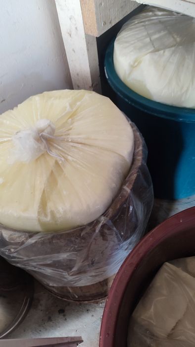 Vând telemea de oaie