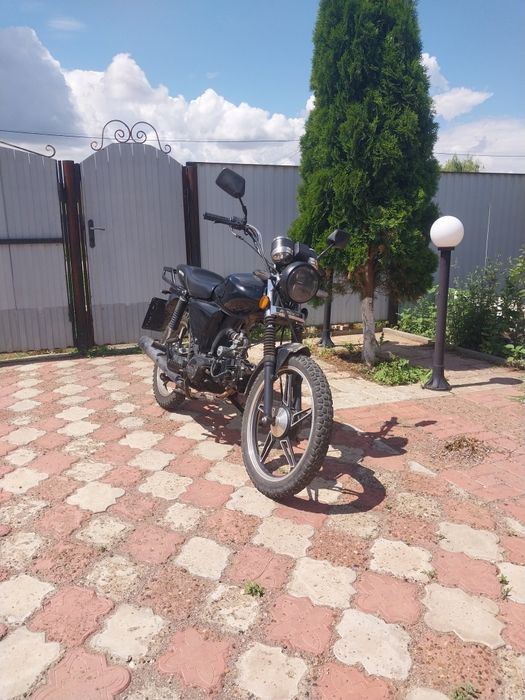 Alpha samurai 125