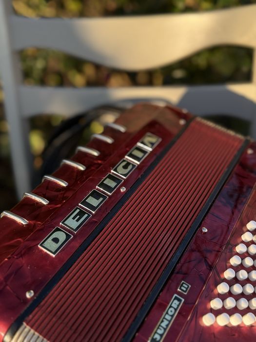 Acordeon Delicia Junior ll 48 bași