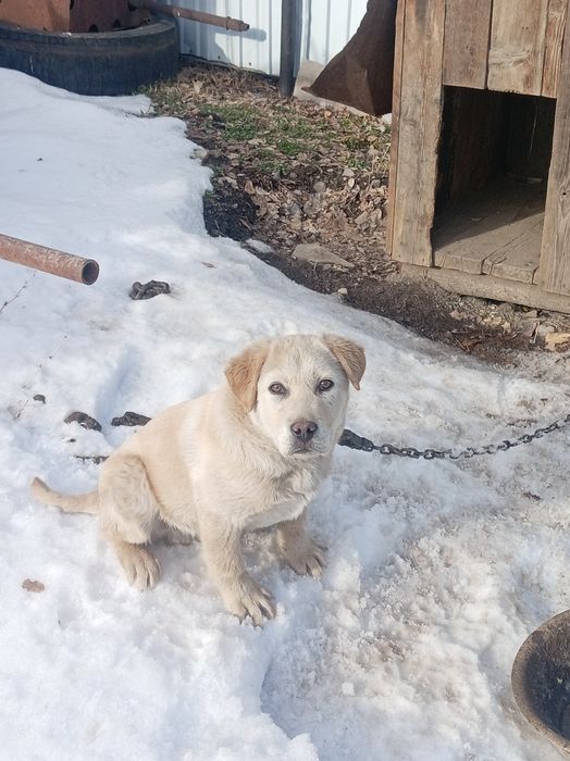 Продам Продам Продам