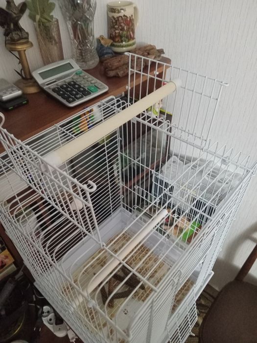 Клетка для декоративных птиц.