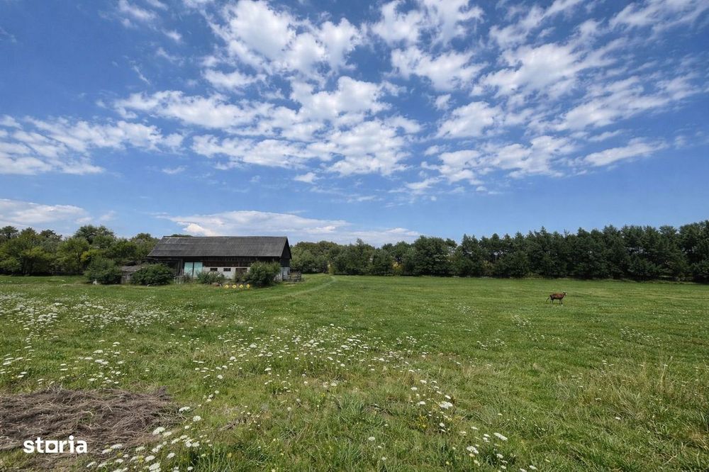 Teren extravilan | Horodnic De Sus | 3600MP