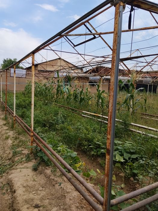 Teplisa sotiladi pul zarl kelishtrib beraman