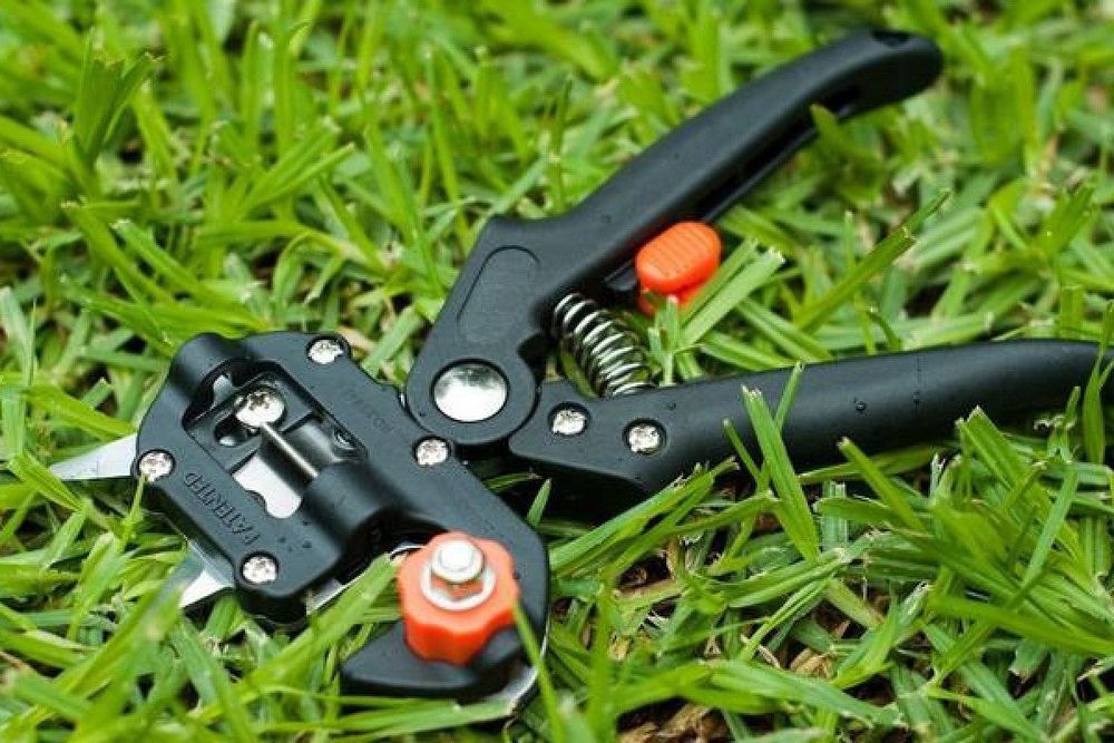 Секатор Прививочный профессиональный payvand uchun qaychi