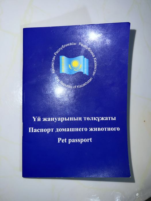 Продам стаффорд 3.5 месяц