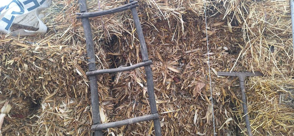 Vând baloti ovaz si ciocani