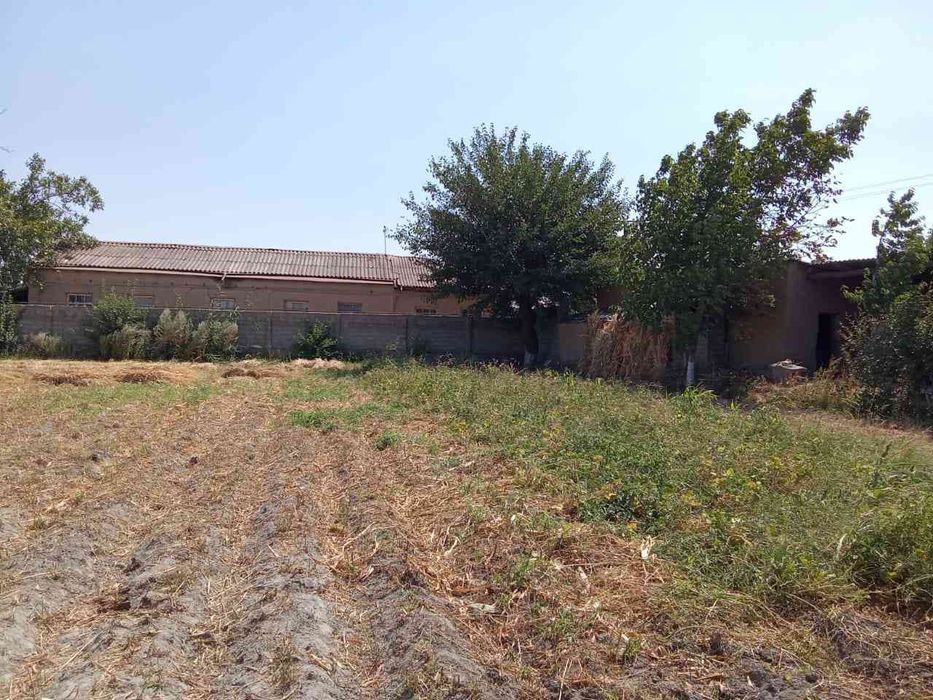 Samarqand jomboy shirinkent viloyati