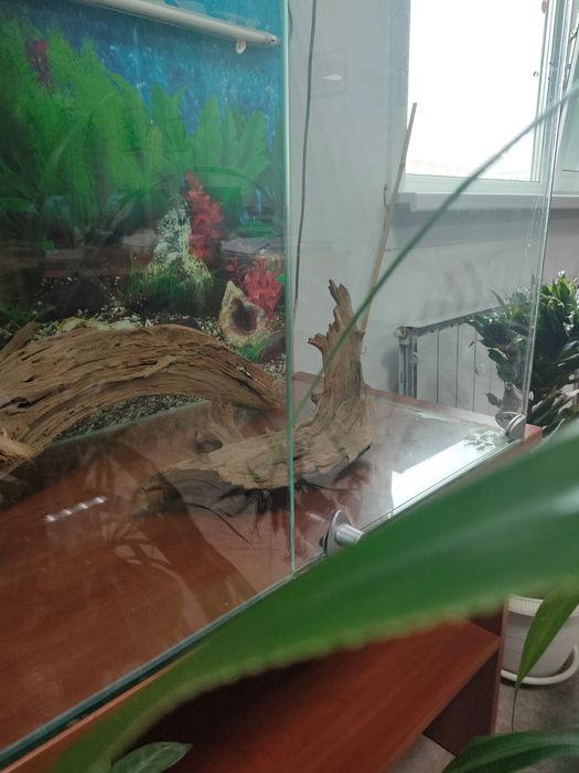 Продаётся террариум