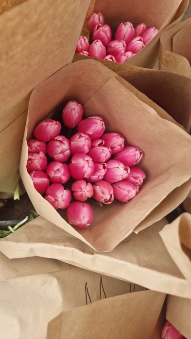 Принимаем заказы на Тюльпаны