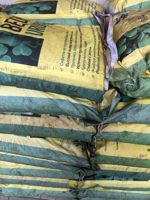 Beda urug’ toza. Беда уруғ. Optom