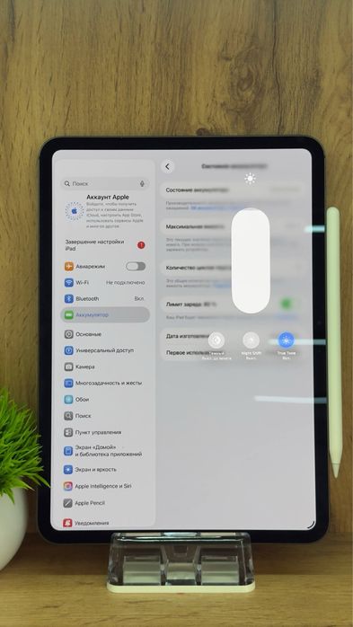 iPad Pro M4,5-gen | 256 GB