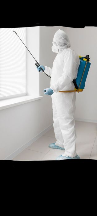 Уничтожение мышей, таракан, клопов