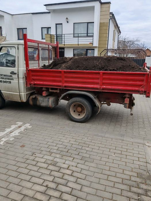 Amenajări interioare și exterioare